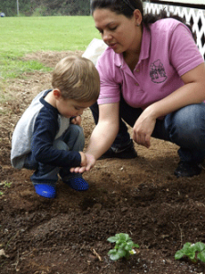 planting250x333