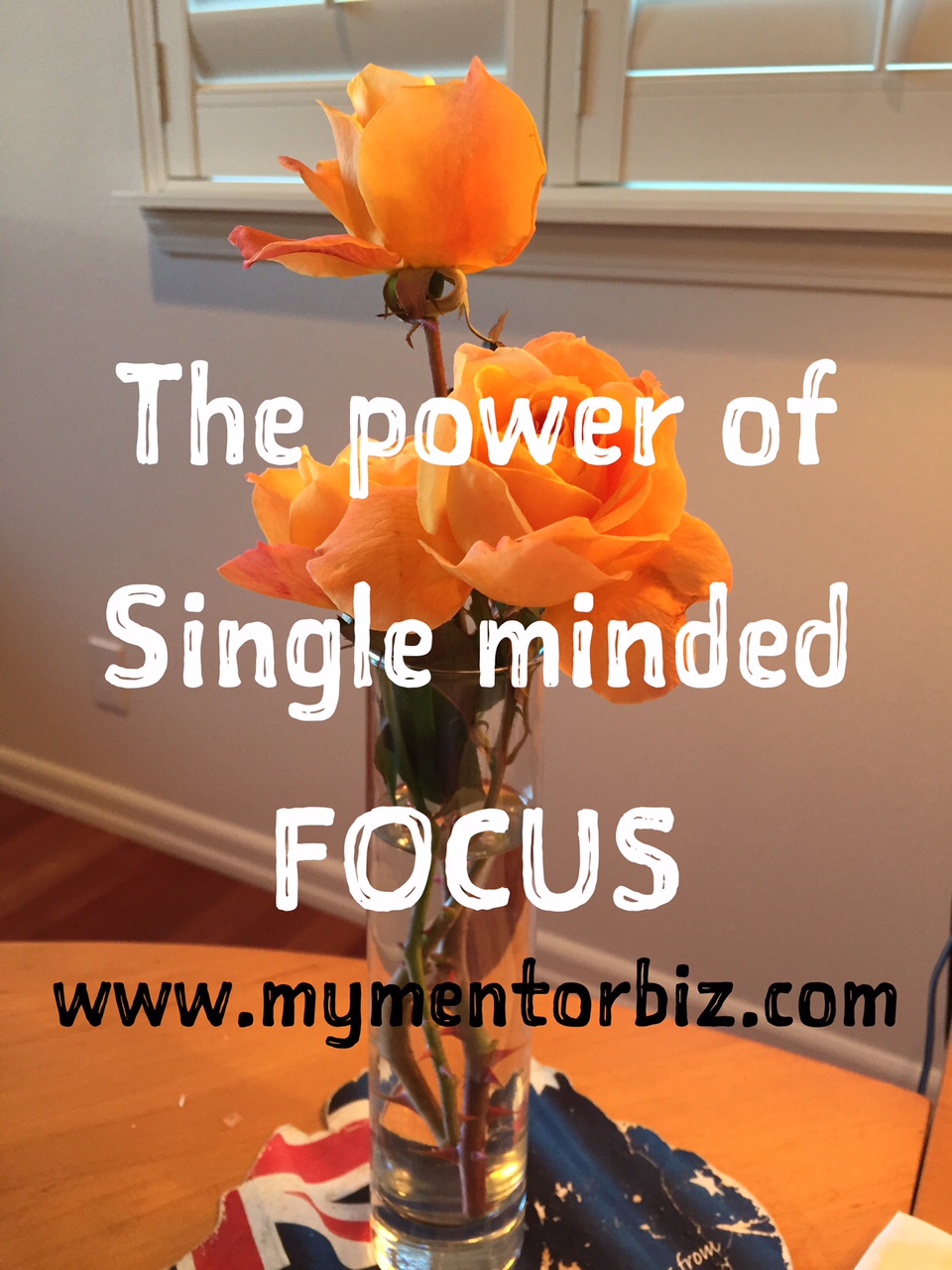 single-minded-focus-corporate-mentor-my-mentor-biz-gale-bates