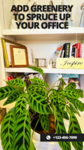 spruce up your office with greenery