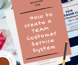 How to Create A TEAM Customer Service System