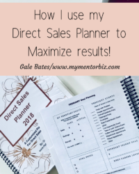 How I Use my Direct Sales Planner to Maximize Results