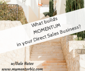 What Builds Momentum in your Direct Sales Business?