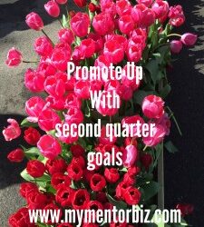 Plan your next Promotion with 2nd Quarter Goals?