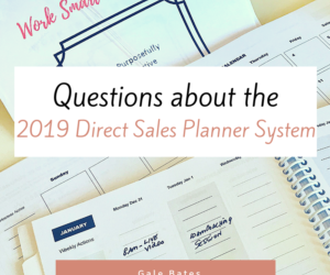 Questions about the 2019 Direct Sales Planner System